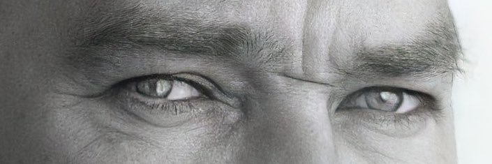 vmerdanates's profile banner image