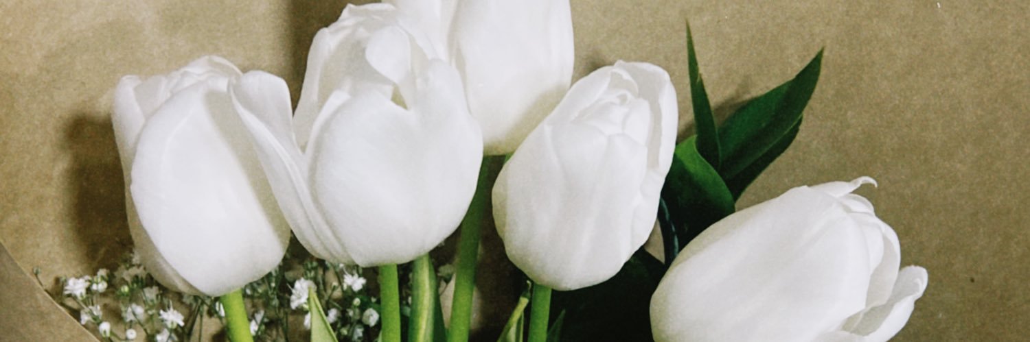 alsoaress_'s profile banner image