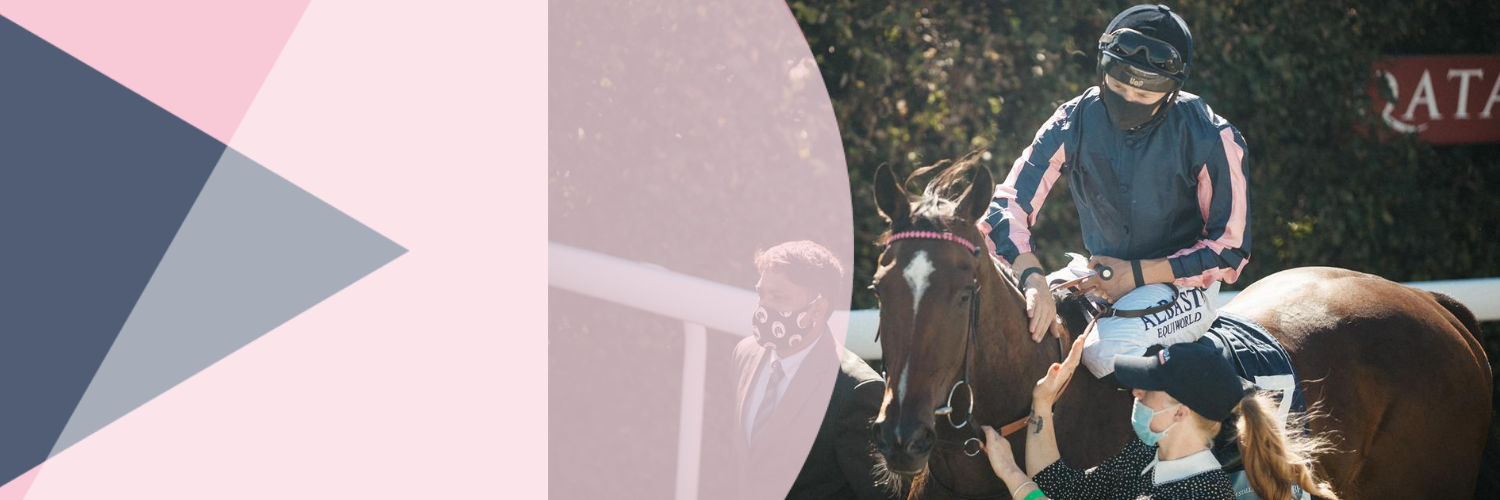 Bermuda Racing banner