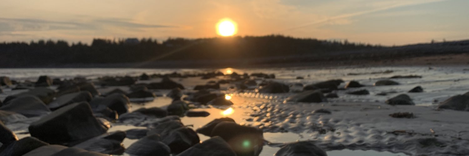 Ms_Mosher's profile banner image