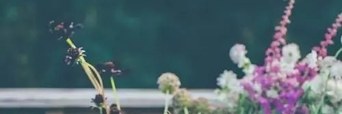 truepcr's profile banner image