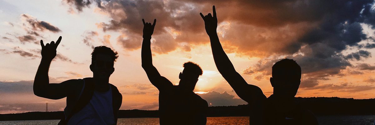 BirdHorns's profile banner image