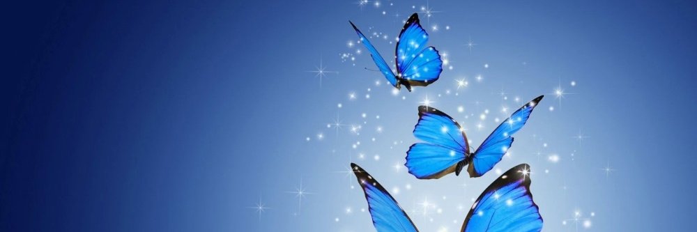 MsViny77's profile banner image