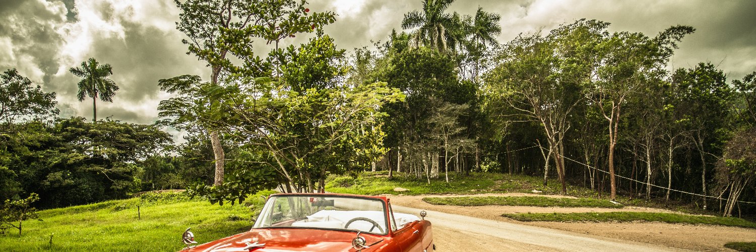 DeliDelilo's profile banner image