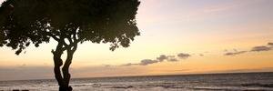 Rich346's profile banner image
