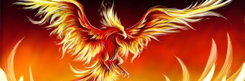 mizukiphoenix3's profile banner image