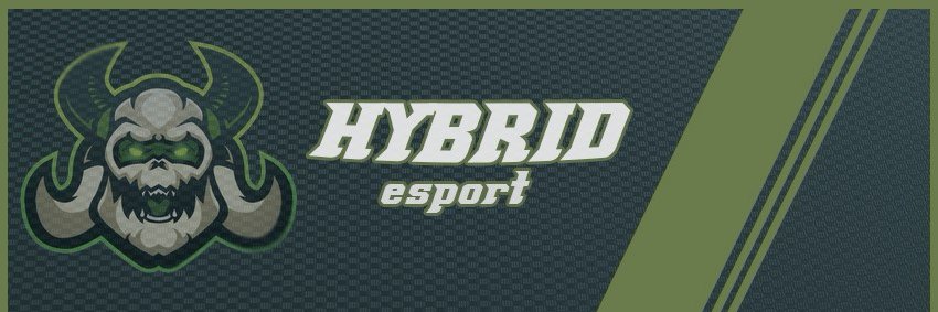 HybrideSports1's profile banner image