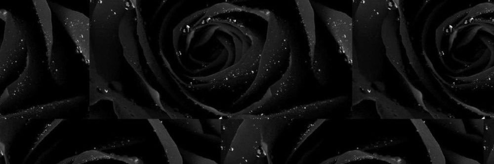SAM📈 banner