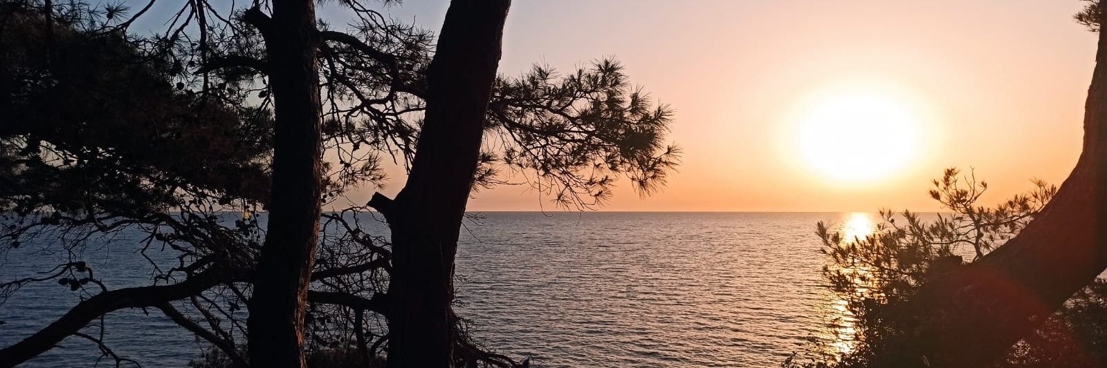leprikon__'s profile banner image