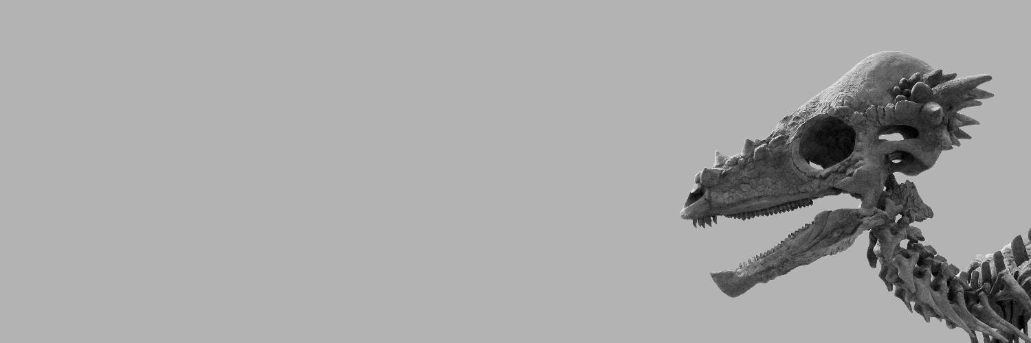 laura_shields's profile banner image