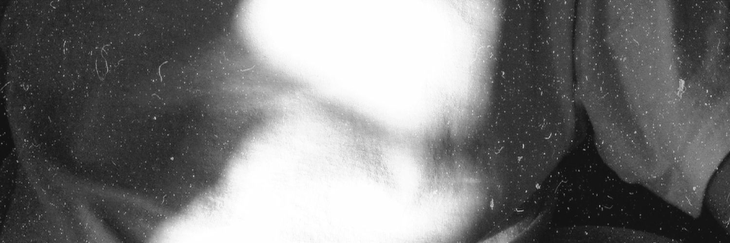 luisjavn's profile banner image