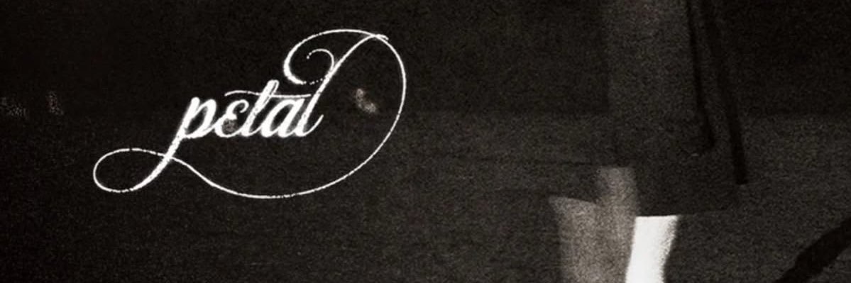 ⭑ torombolo ⭑ banner