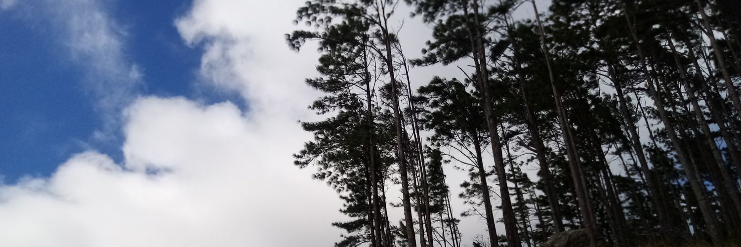 ronynavarro29's profile banner image
