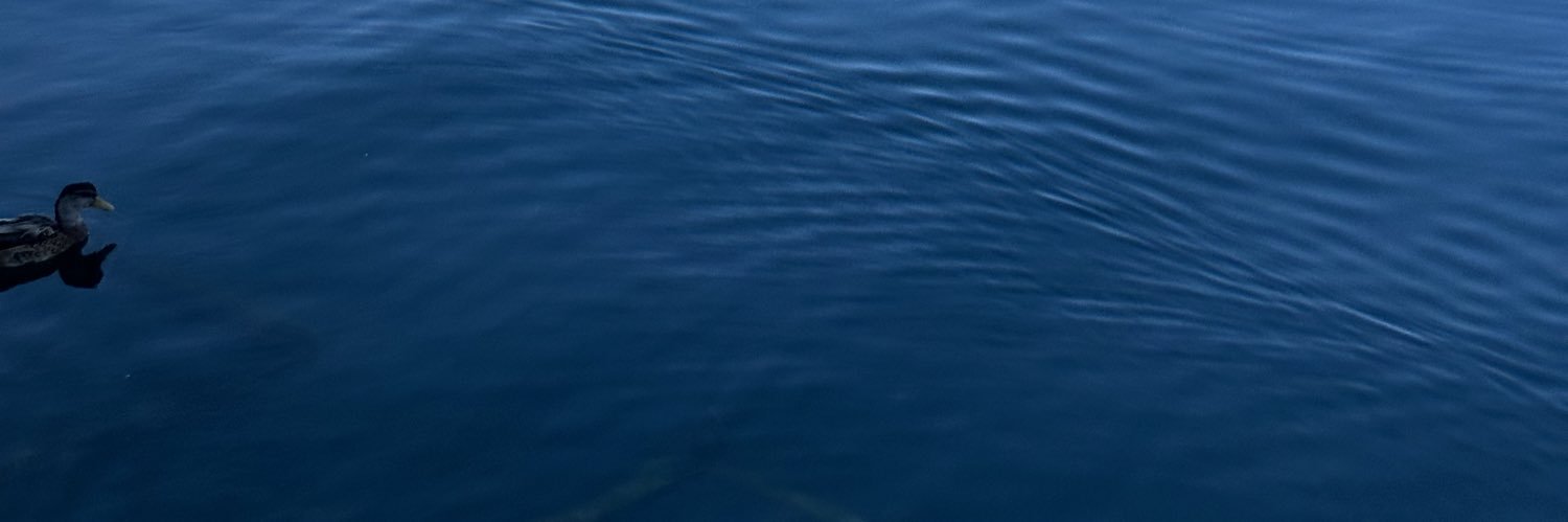 udi pridan banner
