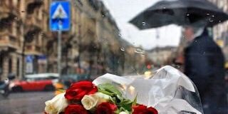 jroo7ee1's profile banner image