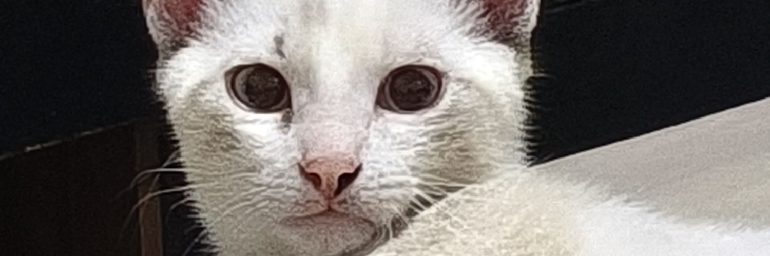 Suga_Wara85's profile banner image