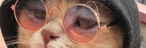 MeowMoonChild's profile banner image
