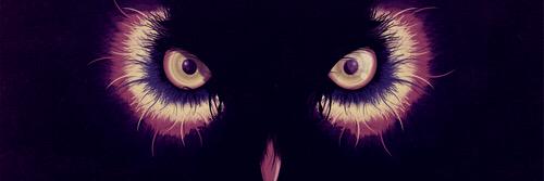 ArkimedesMusik's profile banner image