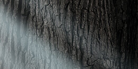 _amberLgibson's profile banner image
