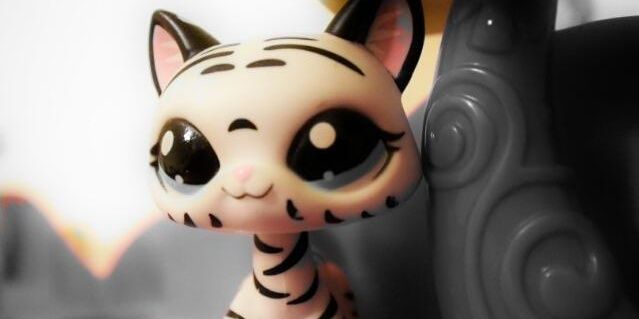 lpsaceoffical's profile banner image