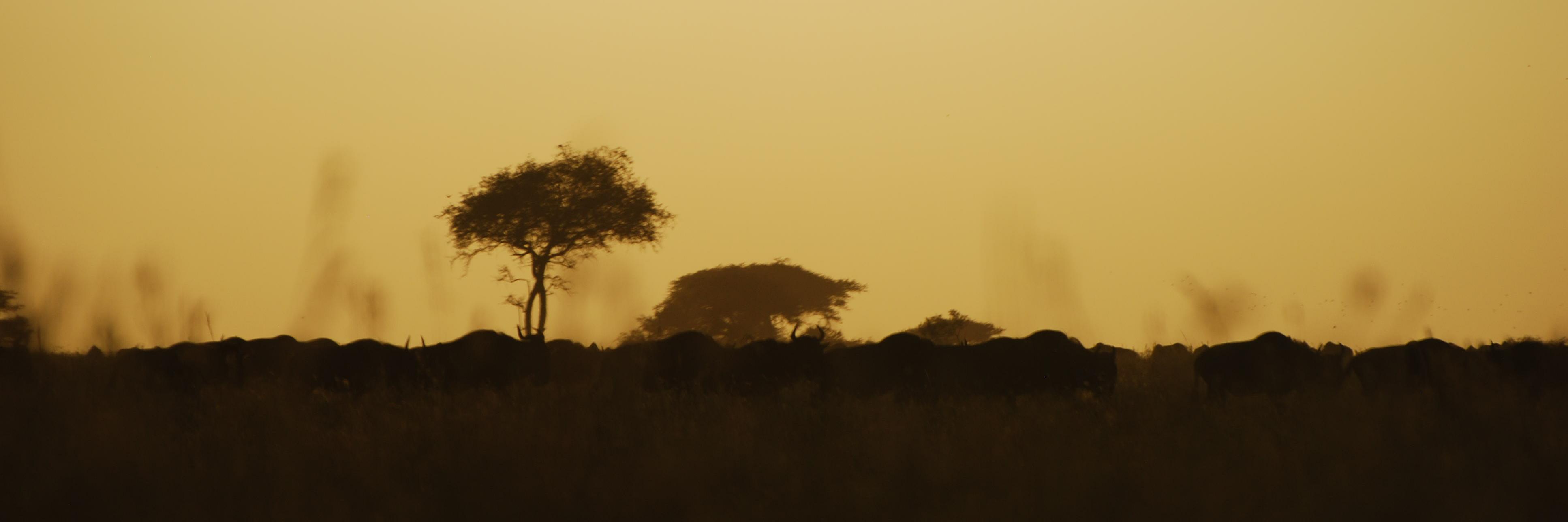 Grant Hopcraft banner