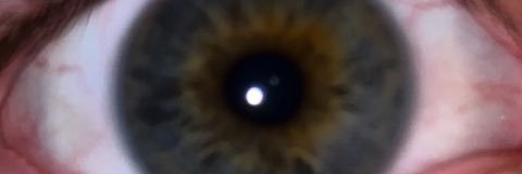 mitchelldreger's profile banner image