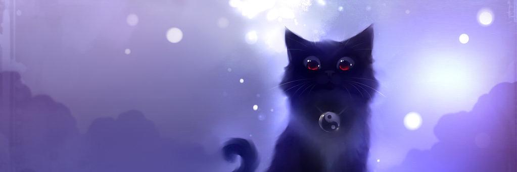 SHUMMY221's profile banner image