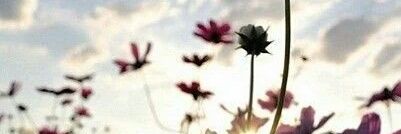 Aadeil_'s profile banner image