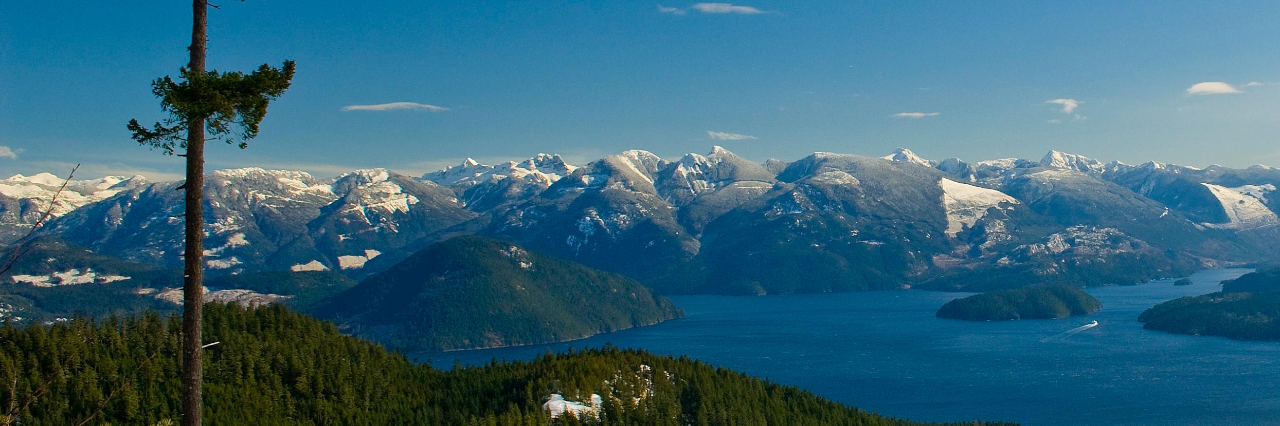 livepowellriver's profile banner image
