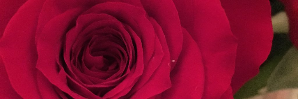 brittanylacerda's profile banner image
