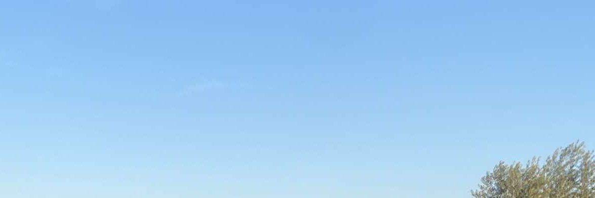 CUISIH's profile banner image