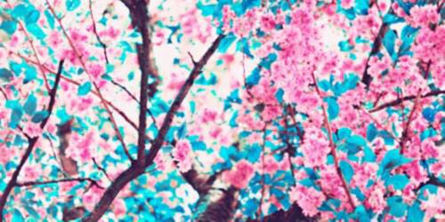 DevonneLayouts's profile banner image