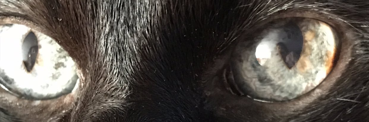 ® banner