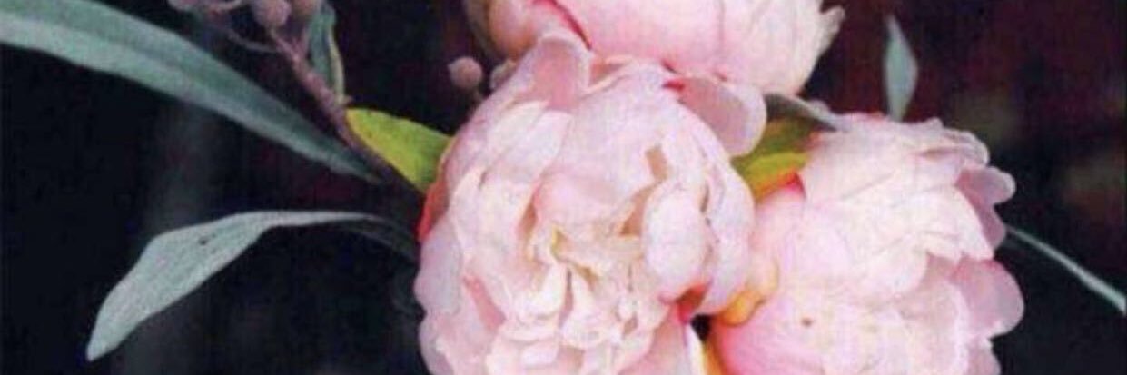 OmTala55's profile banner image