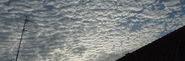 singularyv Profile Banner