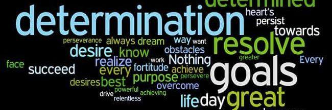 LCBPhD's profile banner image