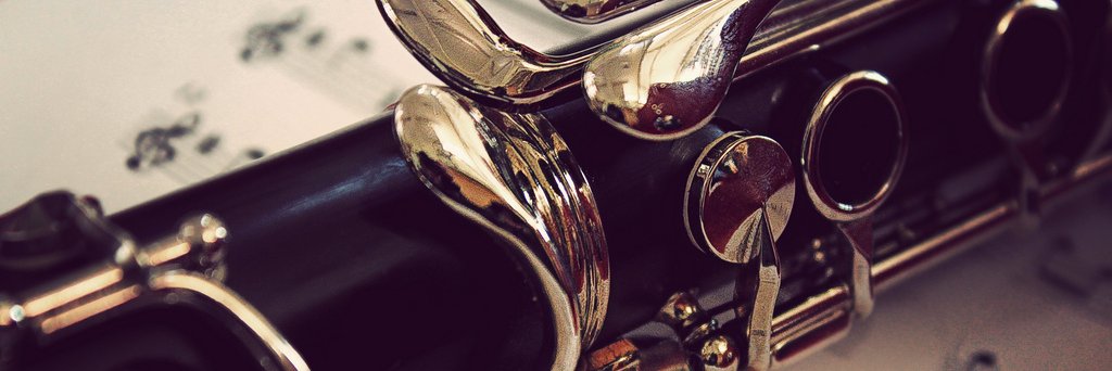 Selena Ryan banner