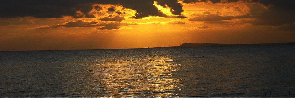 armanx's profile banner image