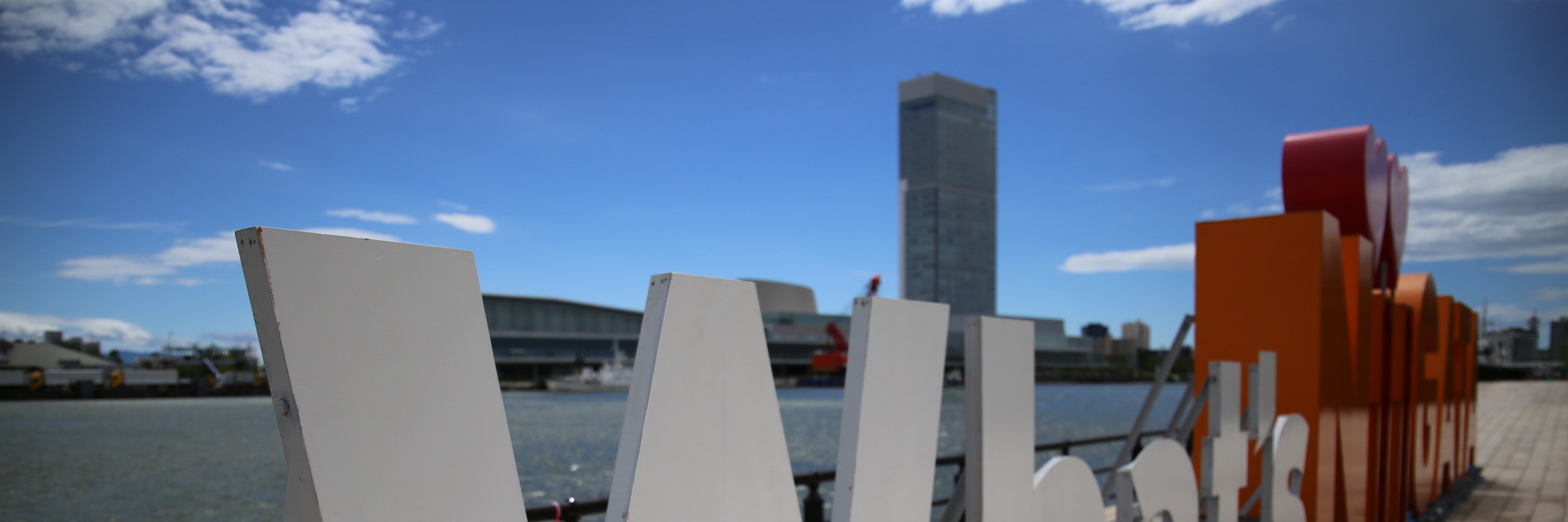 indigolife79's profile banner image