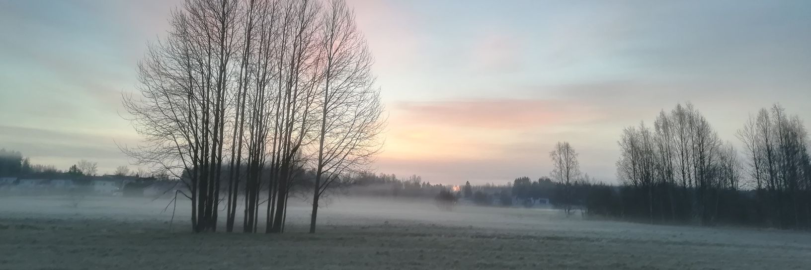 Liisa Eronen banner