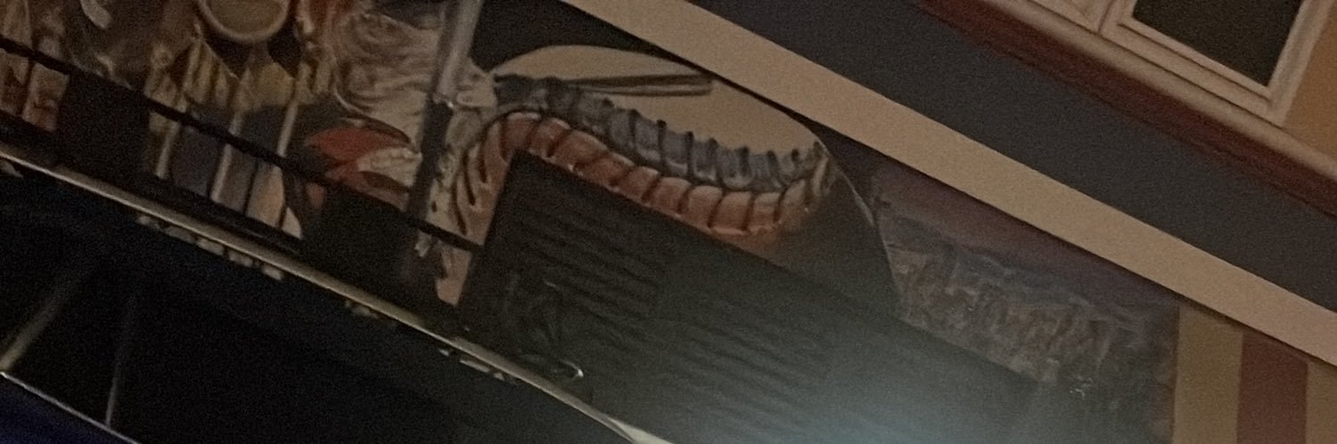 LsRaymo's profile banner image