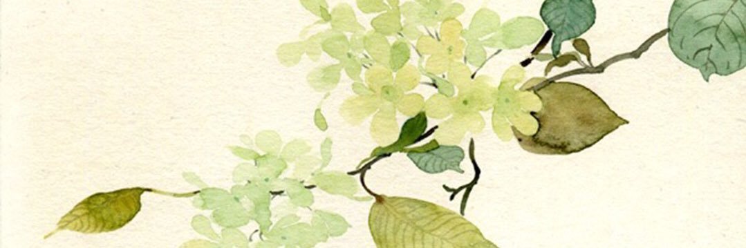 Professor Benjamin Tan Ph.D RN banner