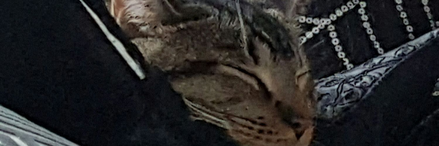 HabsGirl75's profile banner image