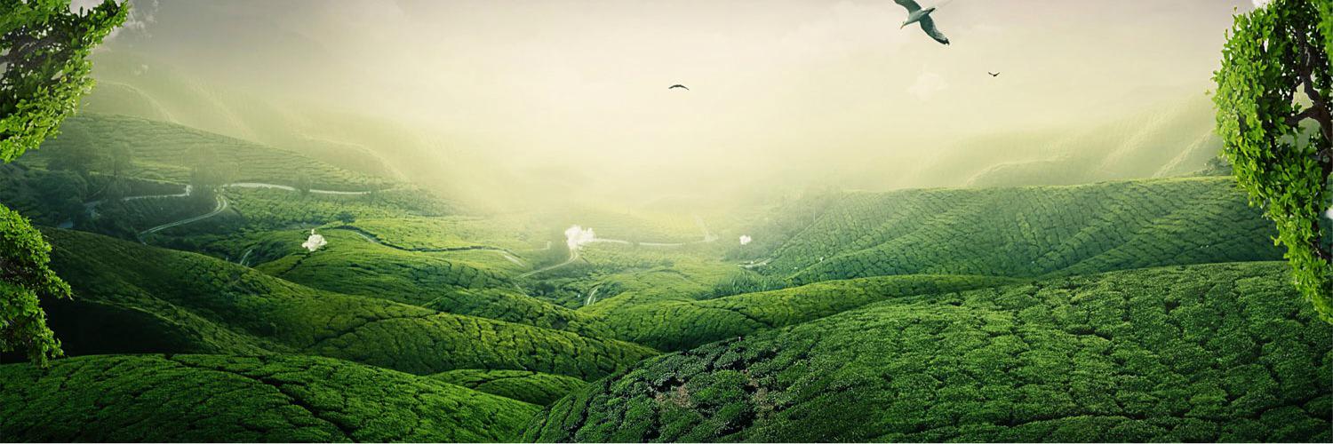 NaseebRiaz's profile banner image