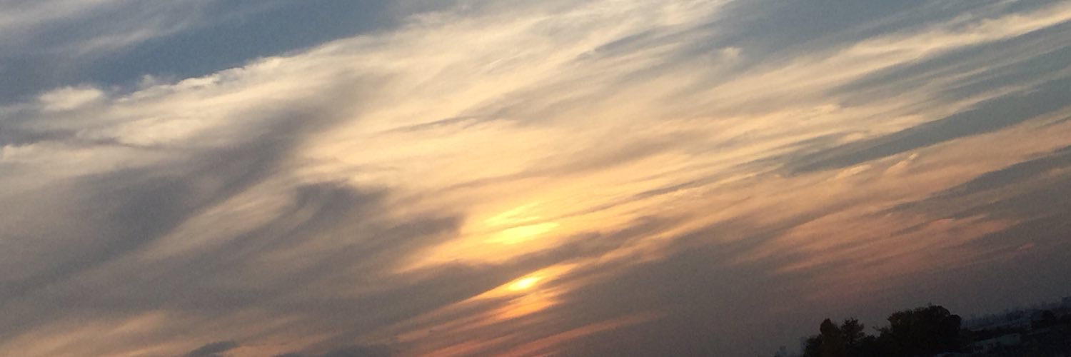 19803_secret's profile banner image
