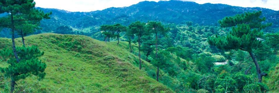 igorot_tako's profile banner image