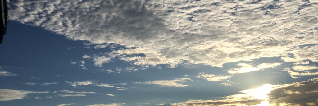 fern_srt's profile banner image