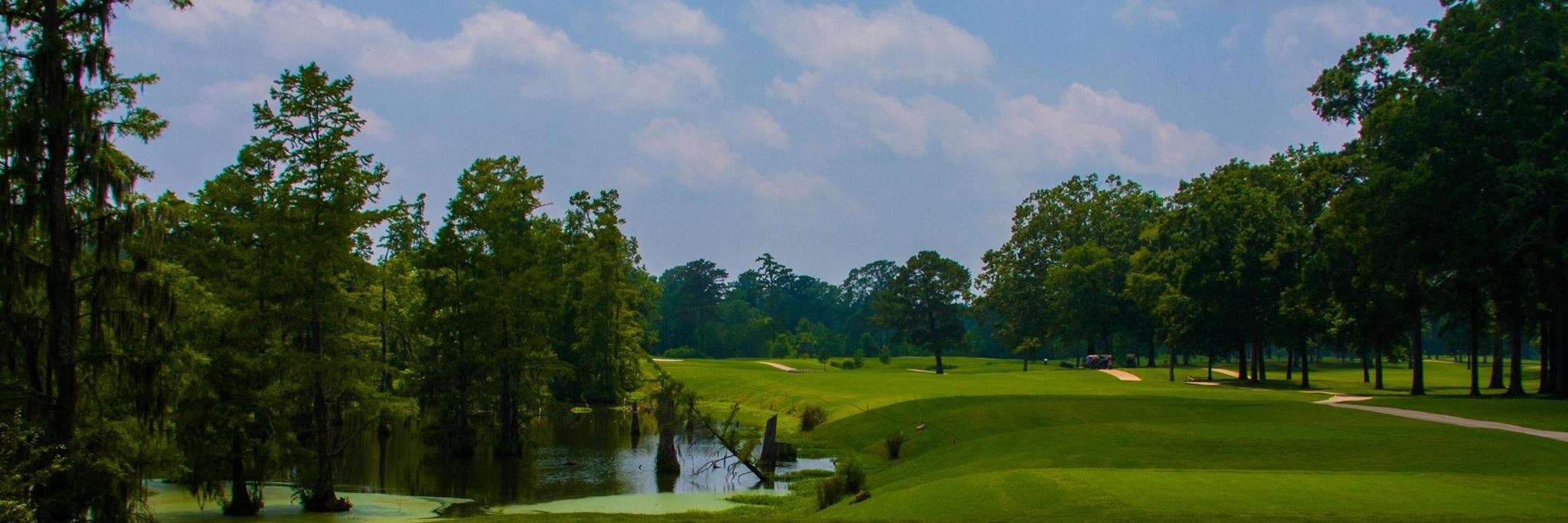0golfer's profile banner image