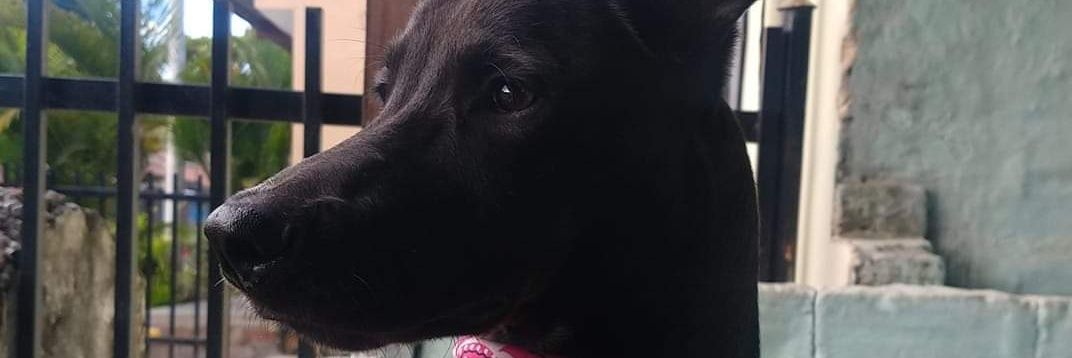 Juan Camilo Angarita Ortiz banner