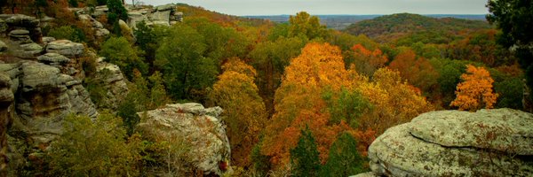 ErickaElizabth Profile Banner